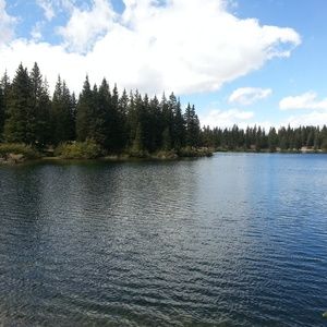 Meet your Posher, Evelia